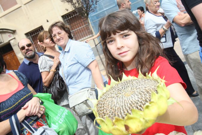 concurso-agricultura-20